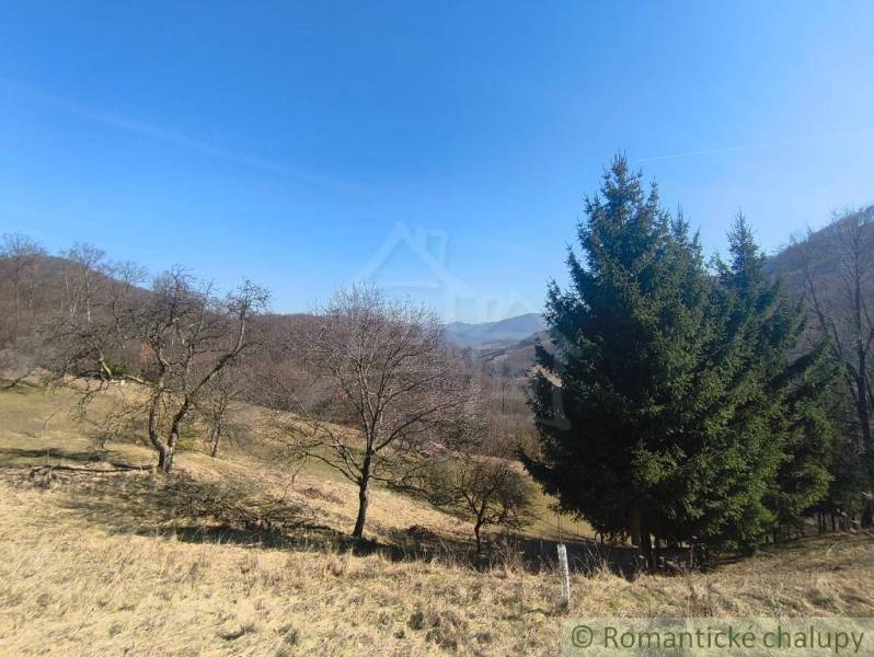 Új Bányai kertek lombhullató és tűlevelű fákkal a dombos terepen a kék ég alatt.