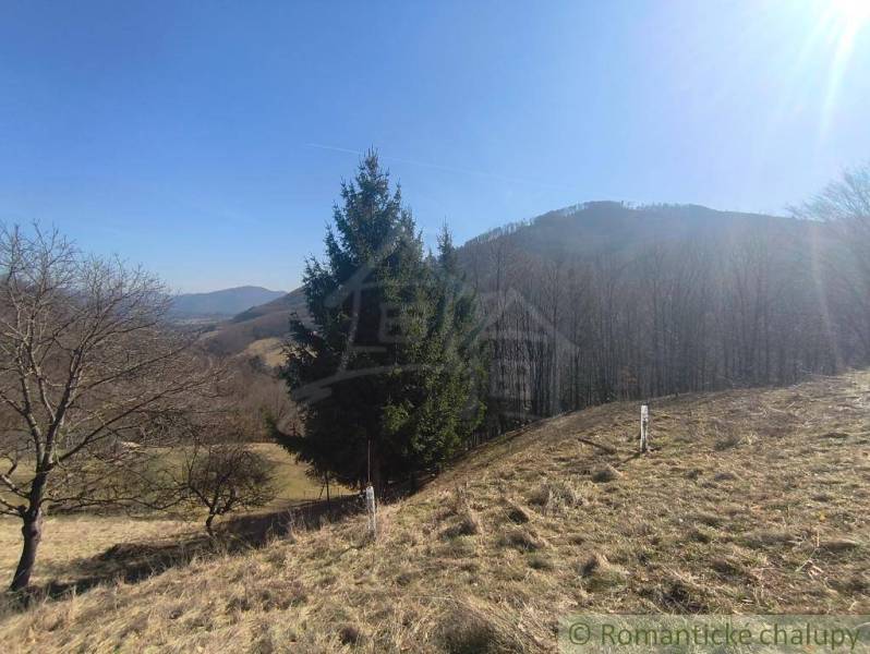 Fák és dombok vidéke Nová Baňa környékén a kertekben.