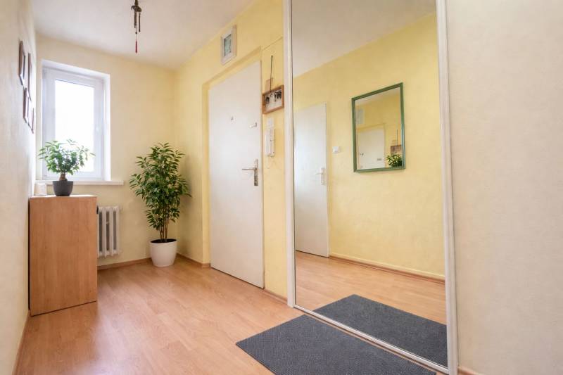 Világos előszoba fa mintázatú padlóval, tükörrel és szobanövényekkel egy kétszobás lakásban.