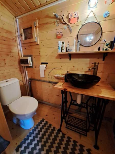 Fa belső tér fürdőszobával, tükörrel, polccal és mosdóval a kertekben.