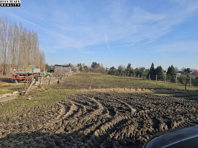 Építkezésre alkalmas telkek Pereden, fasorra néző kilátással.