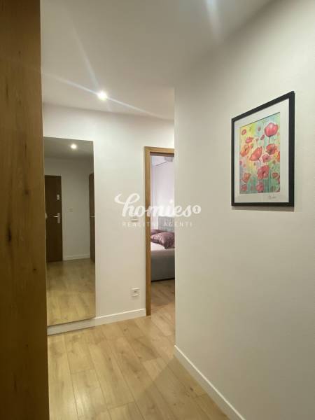 2 szobás lakás folyosója fa dekorációs padlóval és képpel a falon.