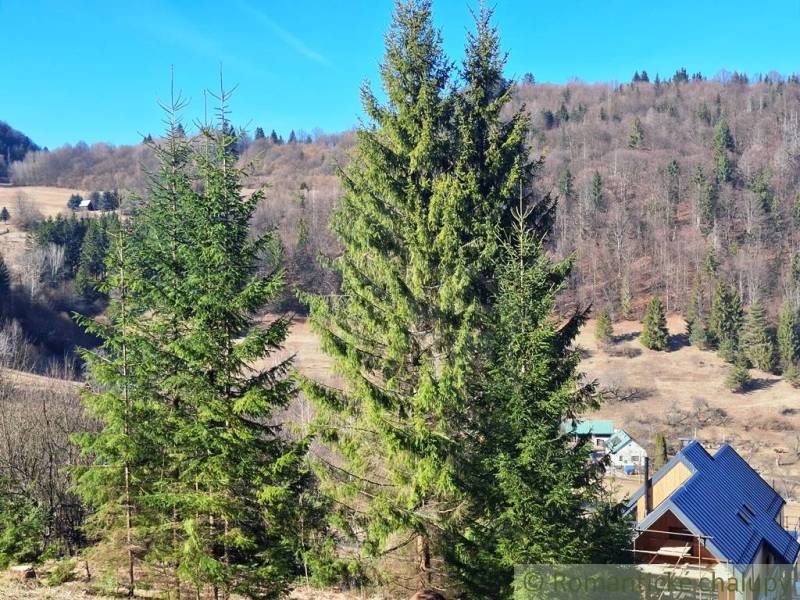 Mezőgazdasági és erdőterületek Hroncon, erdők és házak tetői.