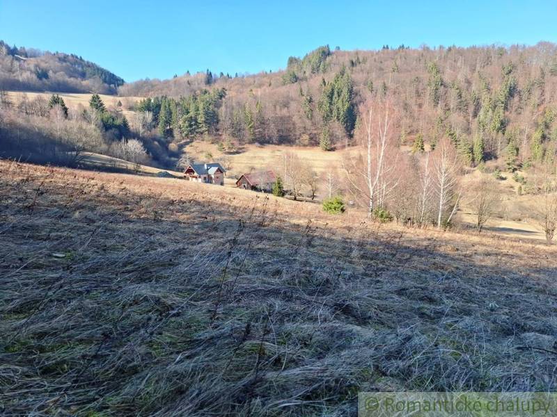 A Hronec környéki erdők és rétek ideális lakóterületeket kínálnak.