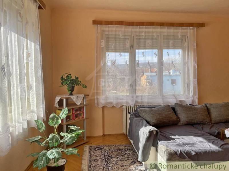 Egy szoba családi házban kanapéval, növénnyel, szőnyeggel és könyvespolccal.