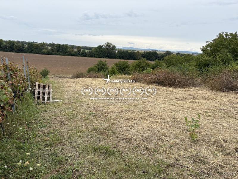 A Zvoncsini kertek kilátást nyújtanak a Zvoncsin környéki rétekre és mezőkre.