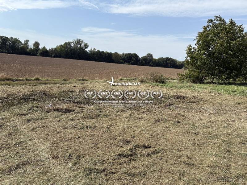 Mező és fű a Zvoncsin Kertekben, Zvoncsin mellett, tiszta égbolttal és fákkal.