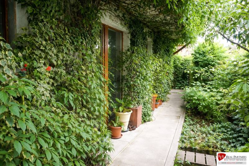 A Šancová utcai 3 szobás lakás kertje Pezinkben buja növényzettel és sétánnyal.