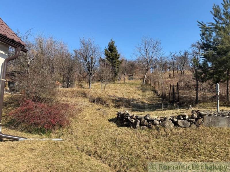 Családi ház kertje Lipócon fákkal és kőfallal.