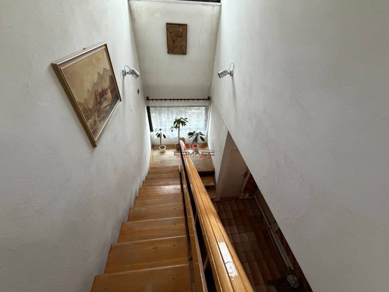 Családi ház lépcsője, falon egy képpel és egy növénnyel az ablak mellett.