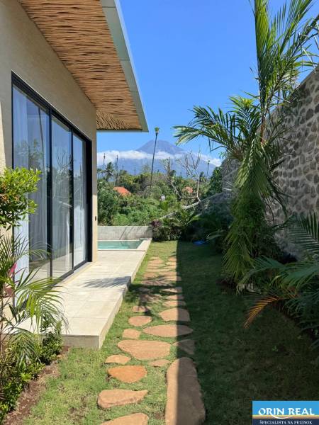 Amede családi házának kertje medencével, kőjárdával és pálmafákkal.