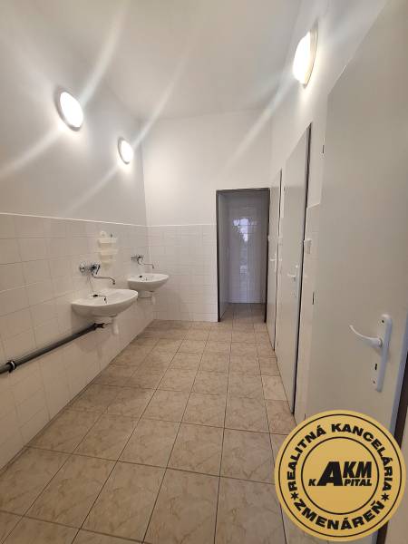 Irodák mosdókkal és csempével, világos falak, fürdőszoba vagy WC.