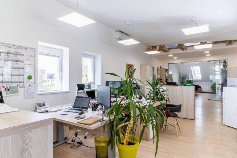 Világos irodák számítógépekkel, növényekkel és fa dekorációjú padlóval.