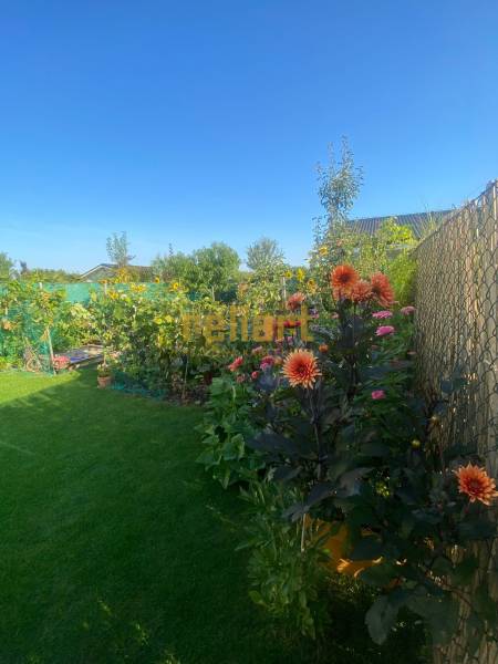 Családi ház virágoskertje a Radová utcában, Újfalun, kerítéssel körülvéve.