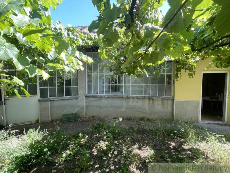 Családi ház Tardoskedden verandával, zölddel körülvéve, kert szőlővel.