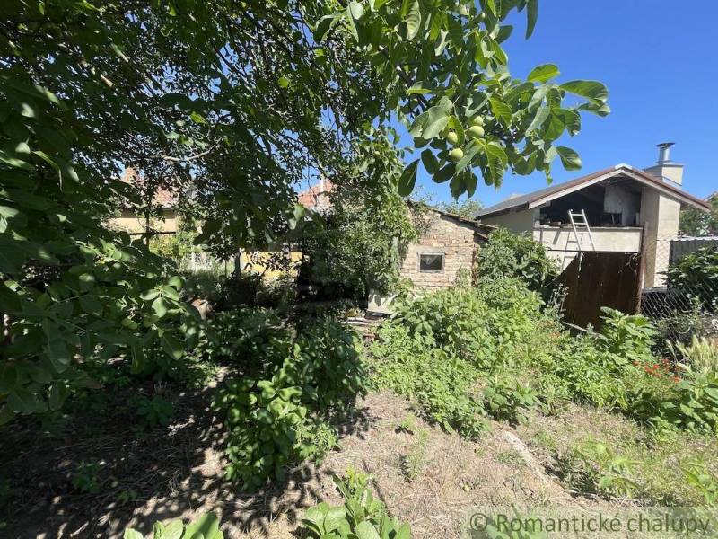 Családi ház kertje Tardoskedden, buja növényzettel és fákkal körülvéve.