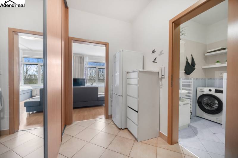 Az egyszobás lakás belsejében látható a folyosó, a fürdőszoba és a nappali tér.