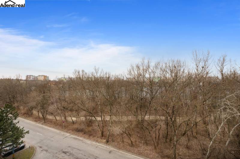 Kilátás a pozsonyi Antolská utcáról, Petržalkán az erdőre és a panelházakra, 1 szobás lakás.