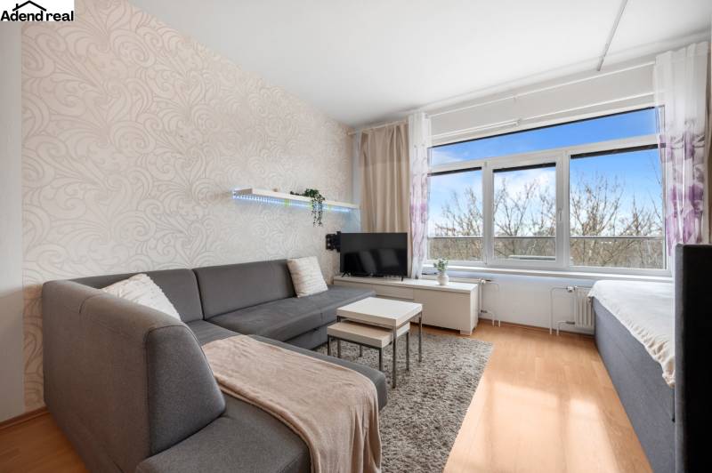 Egyszobás lakás nappalija kanapéval, TV-vel, világos falakkal és fa dekorú padlóval.