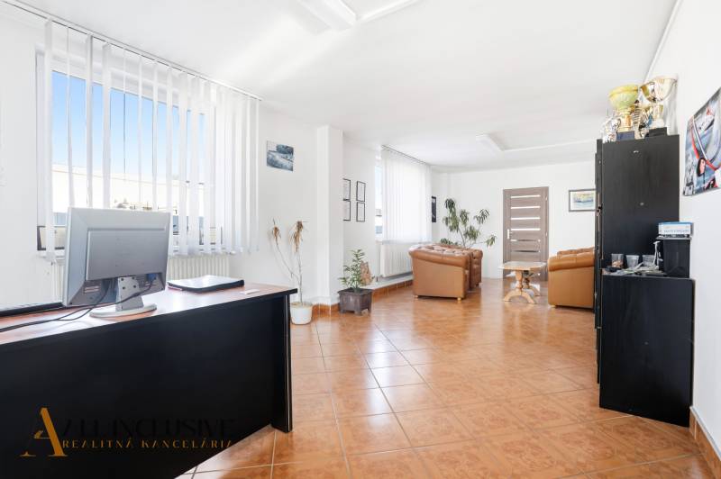 Világos üzlethelyiség székekkel, asztalokkal és padlón lévő dekorációkkal, fa dekorációval.