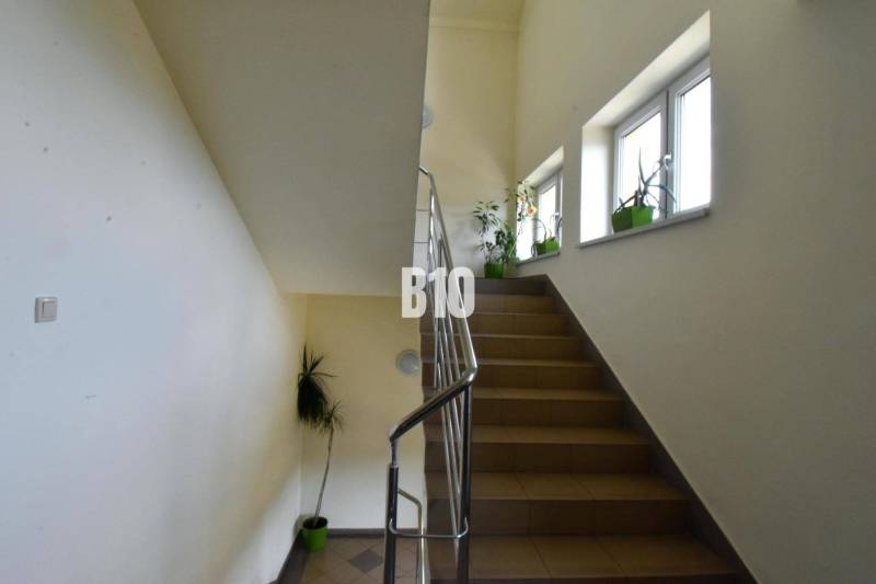 A korláttal ellátott lépcső és az ablakok melletti növények növelik az irodák természetes megvilágítását.