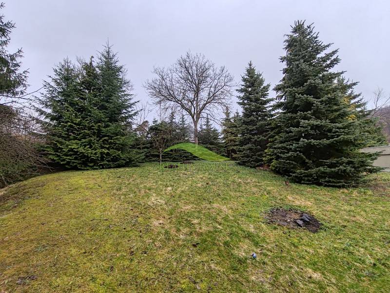 A Hlavná utcai családi ház kertje Piskorovcén fákkal.