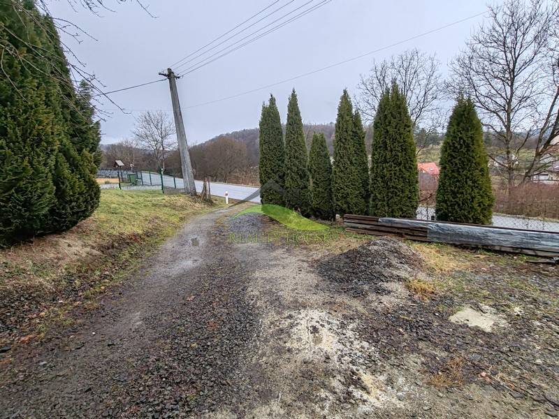 Út és fák a családi ház mellett a Fő utcán, Piskorócon.