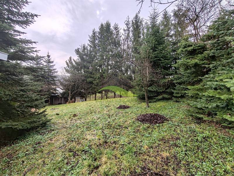 Családi ház melletti telek a Piskoróci Fő utcán, tűlevelű fákkal körülvéve.