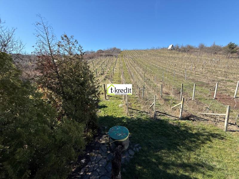 Aranyosmaróton található egy szőlőskert házikóval és rendezett kerttel.