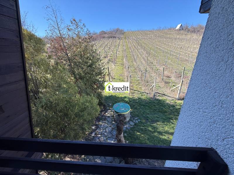 Kilátás a házikóból a szőlőültetvényre Aranyosmaróton, fákkal és kék éggel.