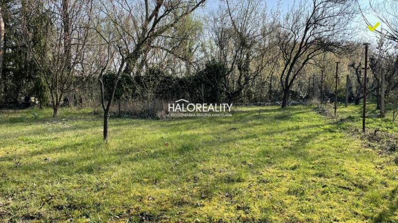 Kert gyepes területtel és fákkal az Üllői Zsitva melletti házikónál.