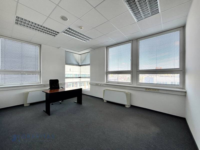 Tágas irodák nagy ablakokkal és szőnyegpadlóval.