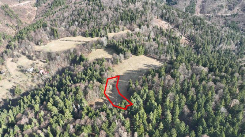 Lúky a lesy v Lazy pod Makytou sa rozprestierajú medzi hustými stromami.