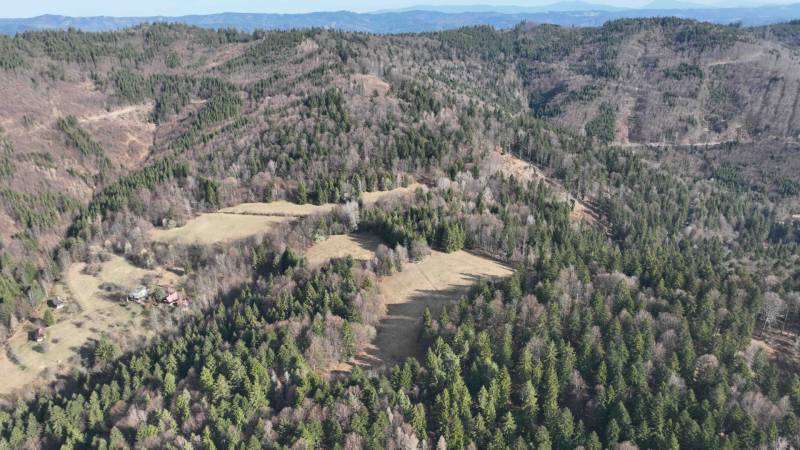 Erdős táj és rétek Lazy pod Makytou közelében, mezőgazdasági és erdészeti területek.