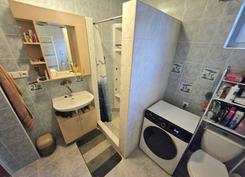 Fürdőszoba családi házban mosdóval, zuhanyzóval, mosógéppel és WC-vel.
