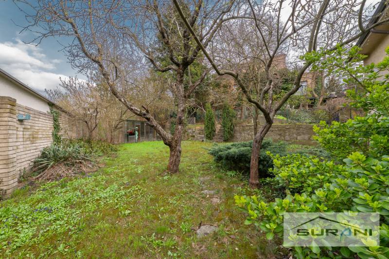 Kert a Krčméryho utcai, pozsonyi óvárosi 4 szobás lakásnál.