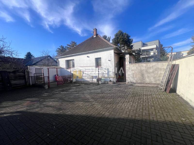 Külső udvar beton burkolattal és családi házzal Szenicén, bemutatva mint vendéglátóhely.