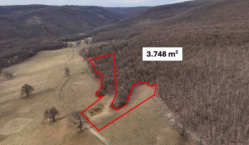 Mezőgazdasági és erdőterületek Príbelce környékén, 3.748 m²-es területtel megjelölve.