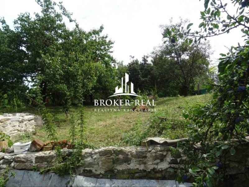 A Goncruszkei családi ház kertje öreg fákkal és kőfallal.