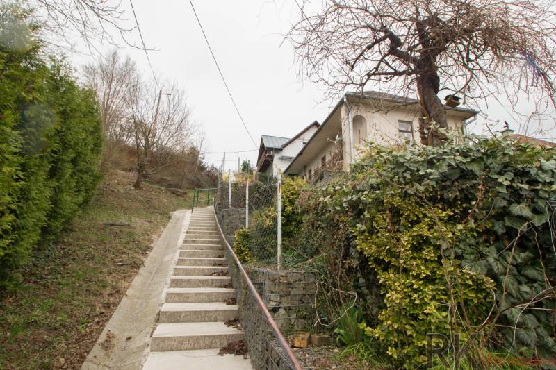 Családi ház Hernádkosztolányban, borostyánnal benőtt járdával és támfallal.