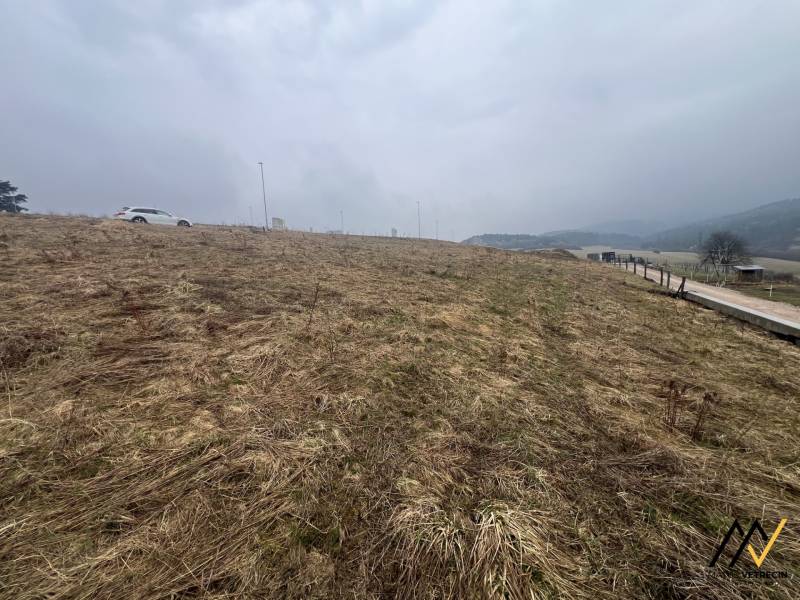 Fás, füvesített lakótelek Ólublóban, látható autóval és úttal.