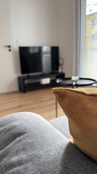 Nappali egy egyszobás lakásban, televízióval, kanapéval és fa dekorációjú padlóval.