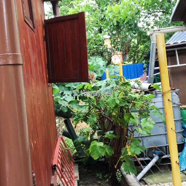Családi ház Bohdanovce nad Trnavou-ban, fa fallal és sűrű növényzettel a kertben.