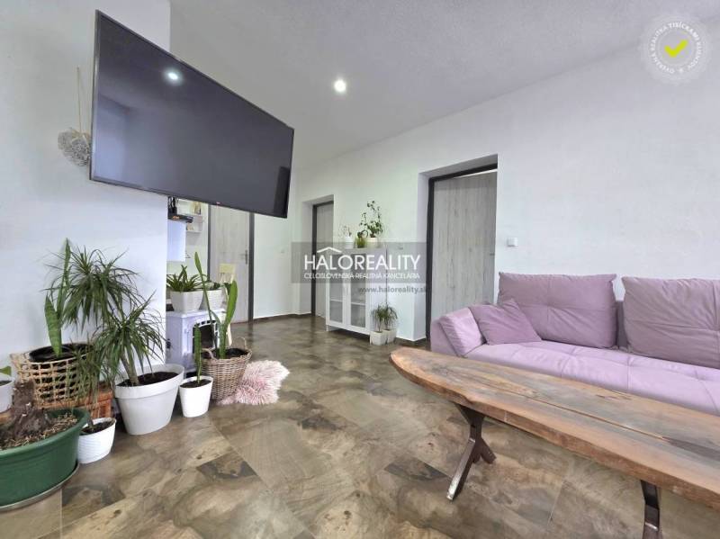 Nappali televízióval, növényekkel és fa dekorációjú padlóval egy családi házban.