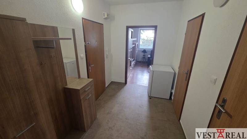 Előszoba és folyosó egy egyszobás lakásban fa dekor padlóval.