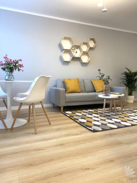 Nappali egy kétszobás lakásban fa mintázatú padlóval, szürke kanapéval és dekoratív hatszögekkel.