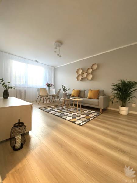 Nappali egy kétszobás lakásban kanapéval, szőnyeggel és fa dekorációjú padlóval.