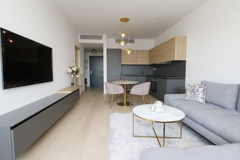 2 szobás lakás fa mintázatú padlóval, szürke kanapéval és minimalista konyhával.