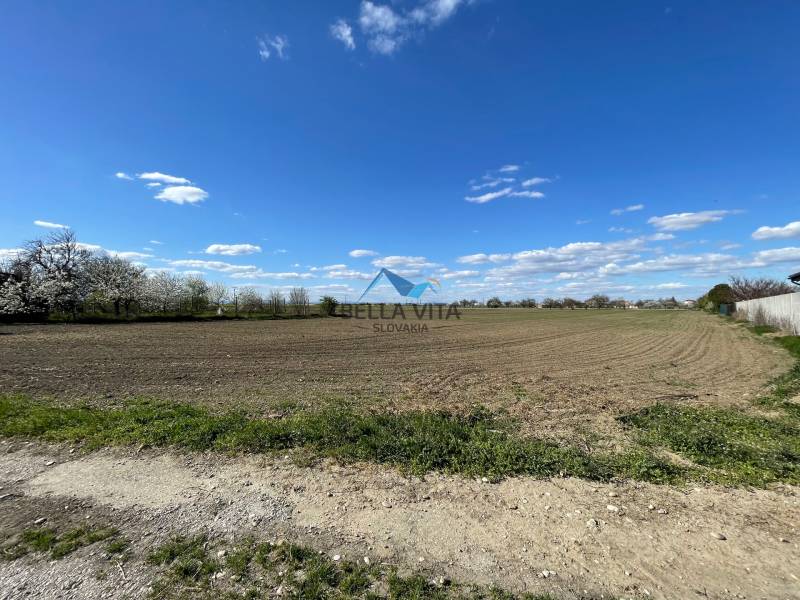 A Košútska utcán, Košúty kertekben található kiterjedt mező virágzó fákkal van körülvéve.