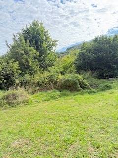 Zöldterület és fák a családi ház telkén Krivosúd-Bodovkán.